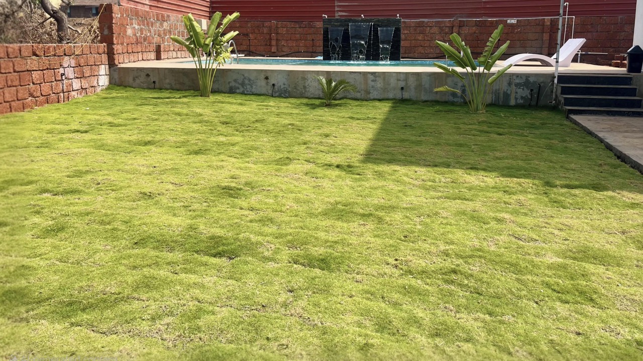 Photo of Outdoor in Mhsala