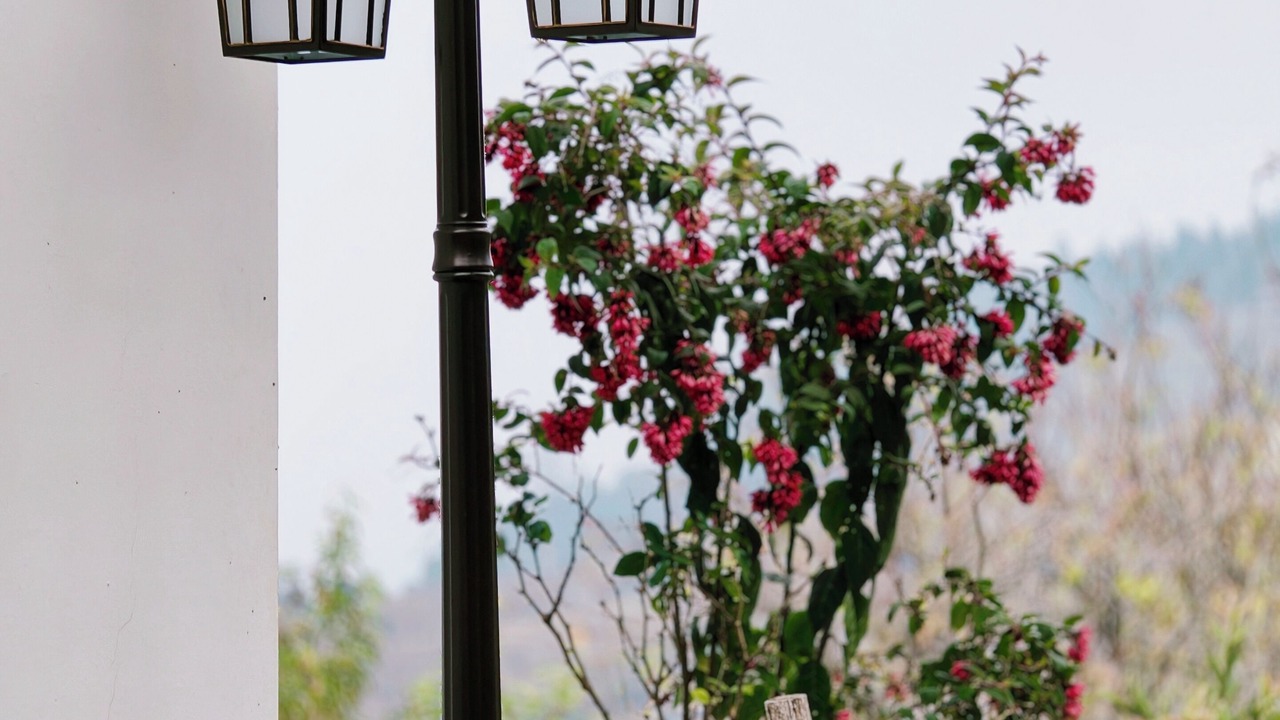 Photo of Outdoor in Kodaikanal