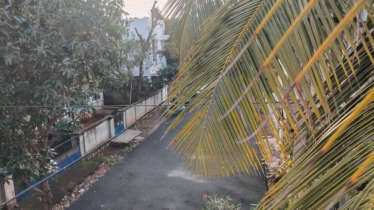 Photo of Outdoor in Tiruchirappalli