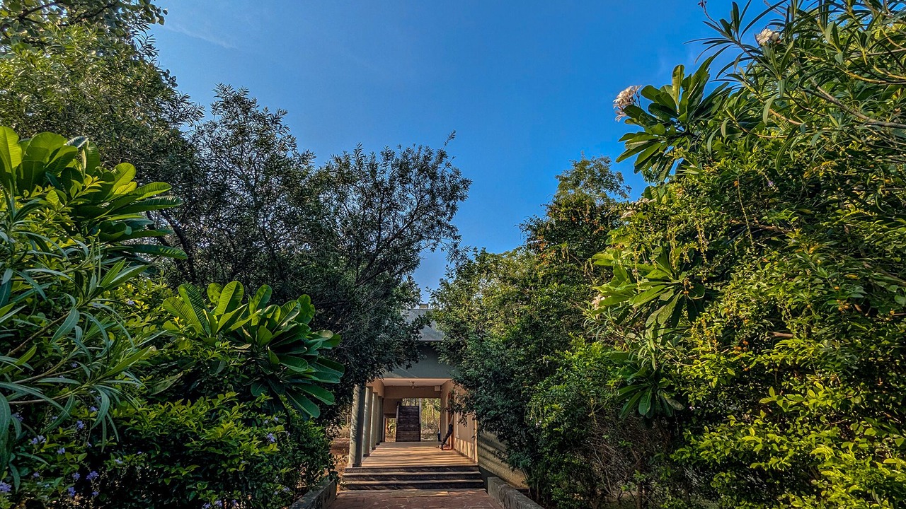 Photo of Outdoor in Selarpur