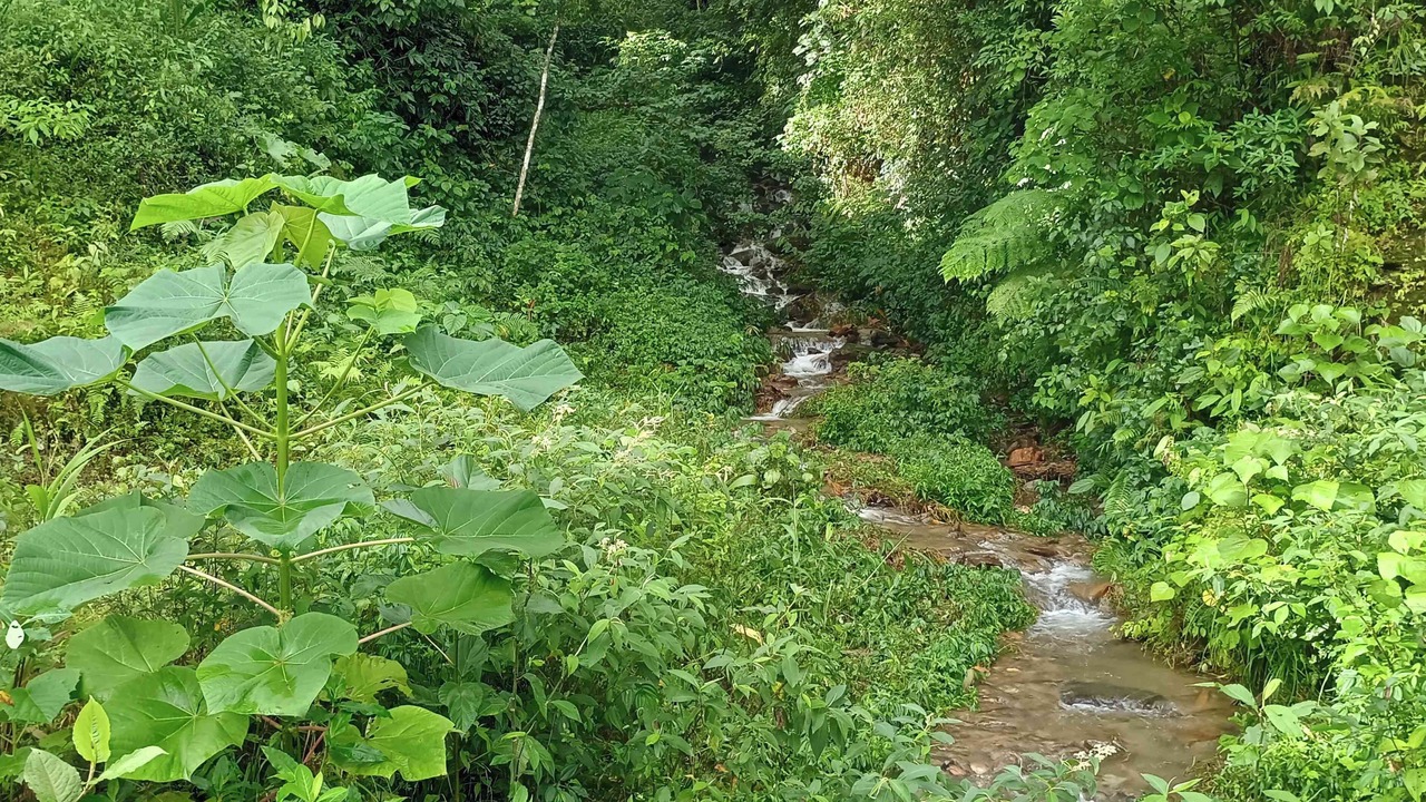 Photo of Outdoor in Pelling
