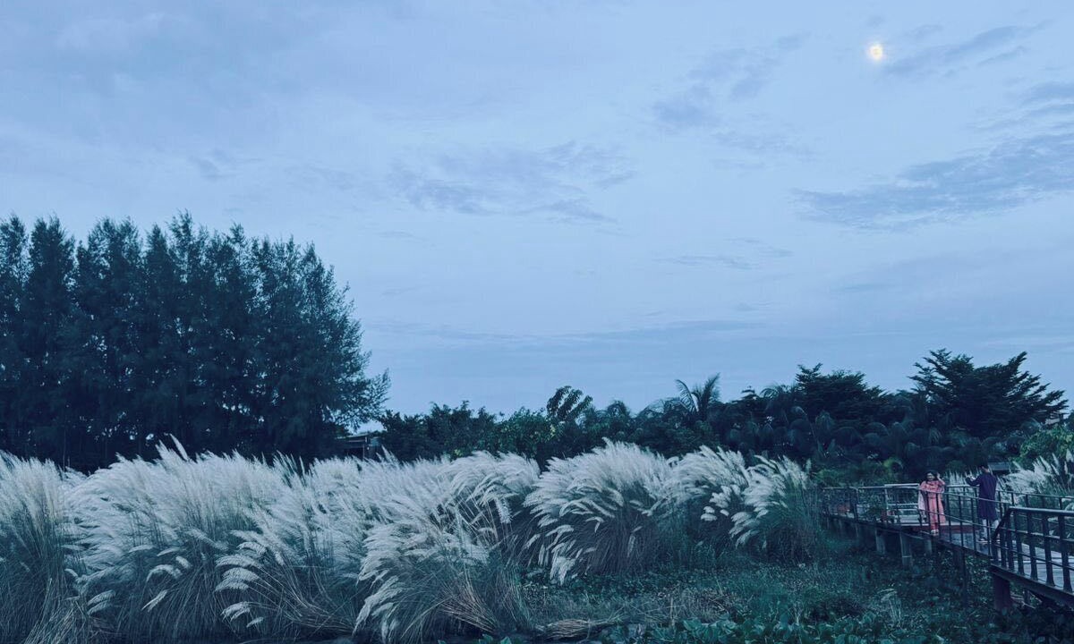 Photo of Outdoor in Dhaka Division