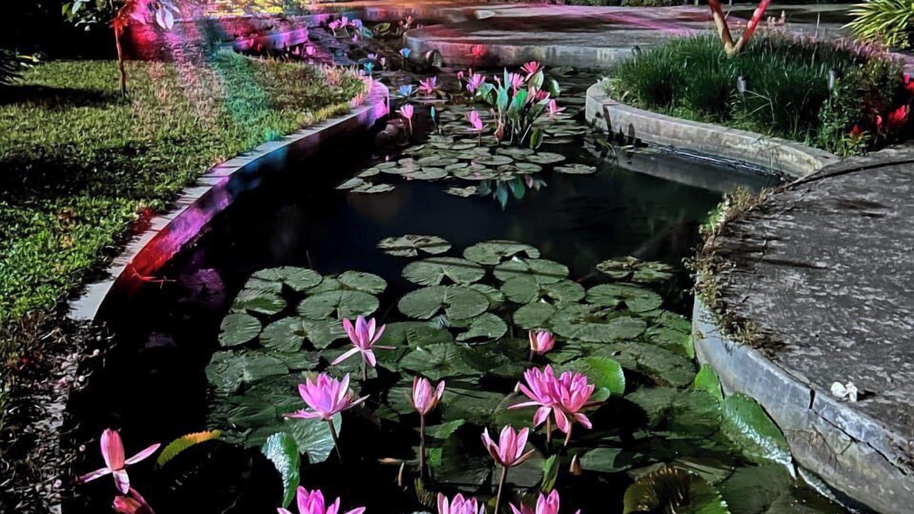 Photo of Outdoor in Dhaka Division