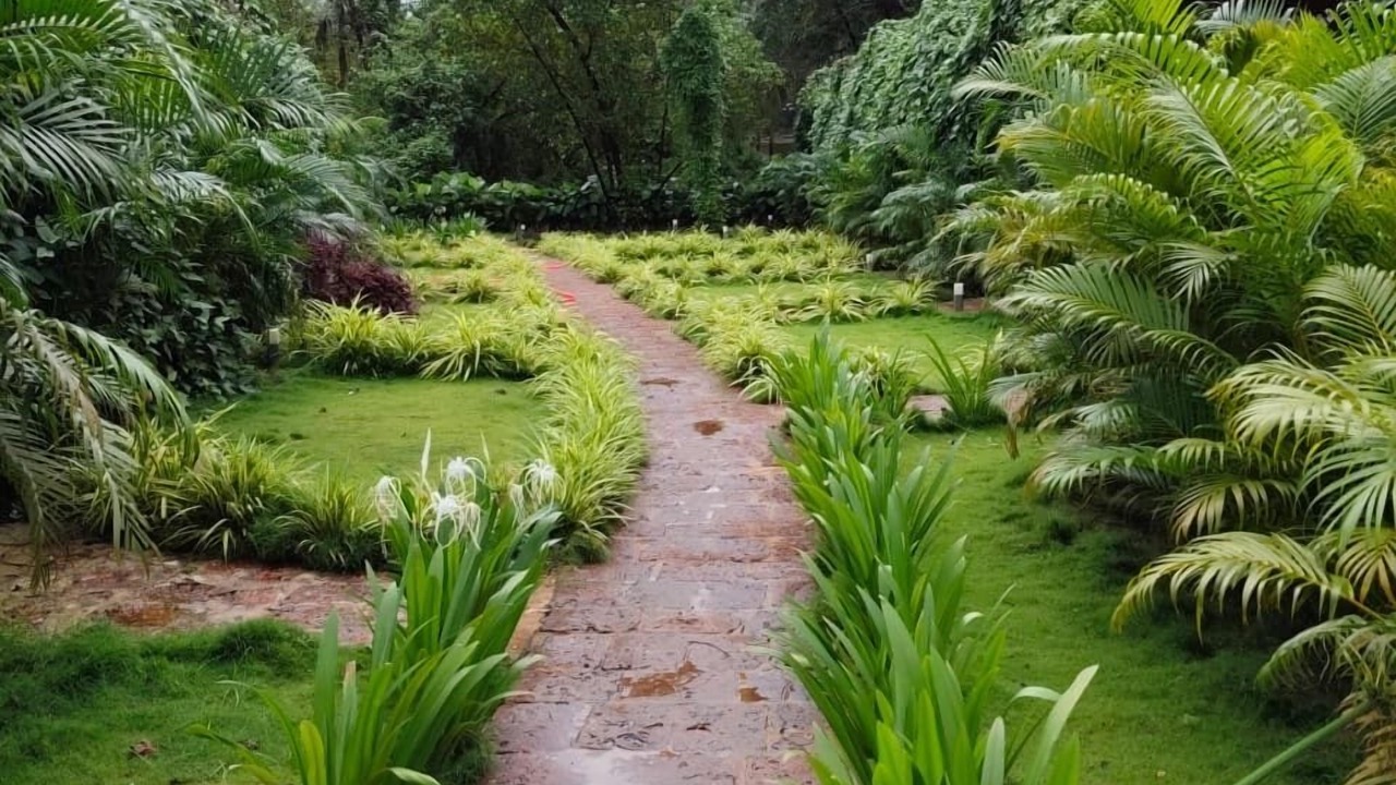 Photo of Outdoor in Mandrem