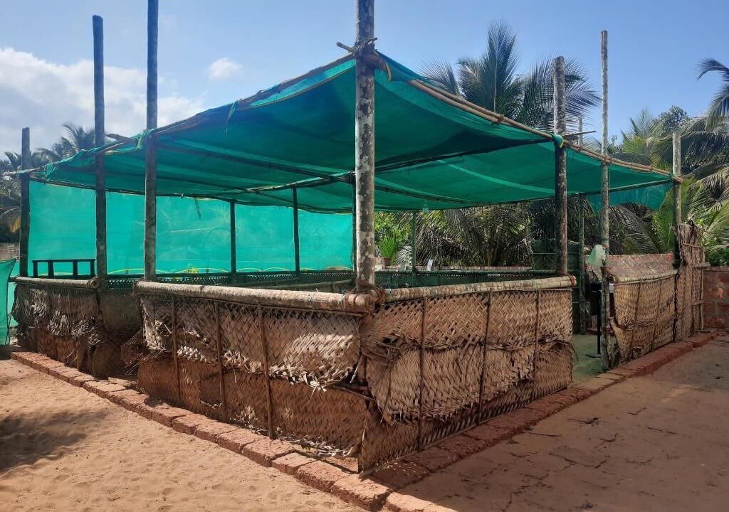 Photo of Patio Balcony in Malvan