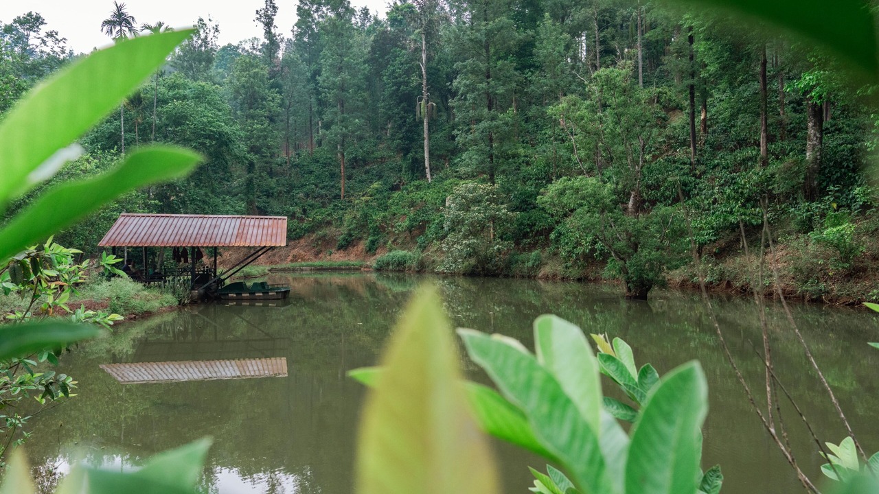 Photo of Outdoor in Chikkamagaluru