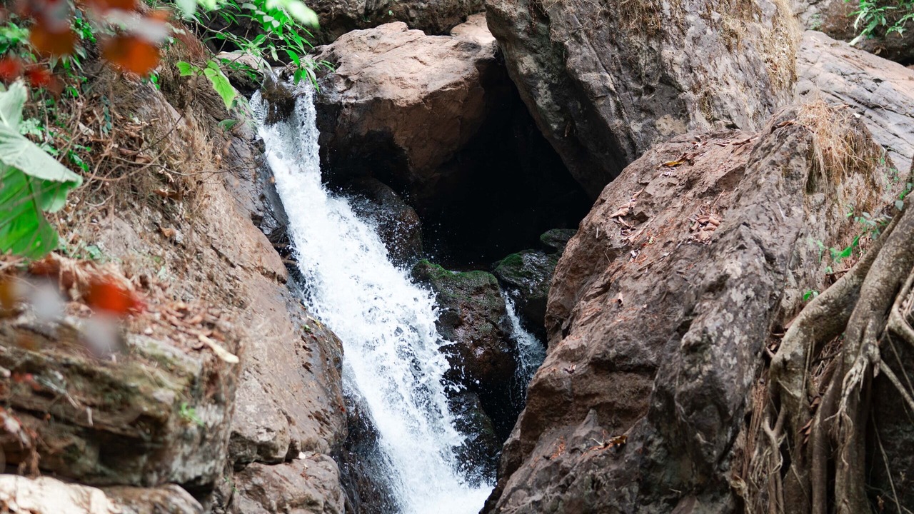 Photo of Outdoor in Chikkamagaluru
