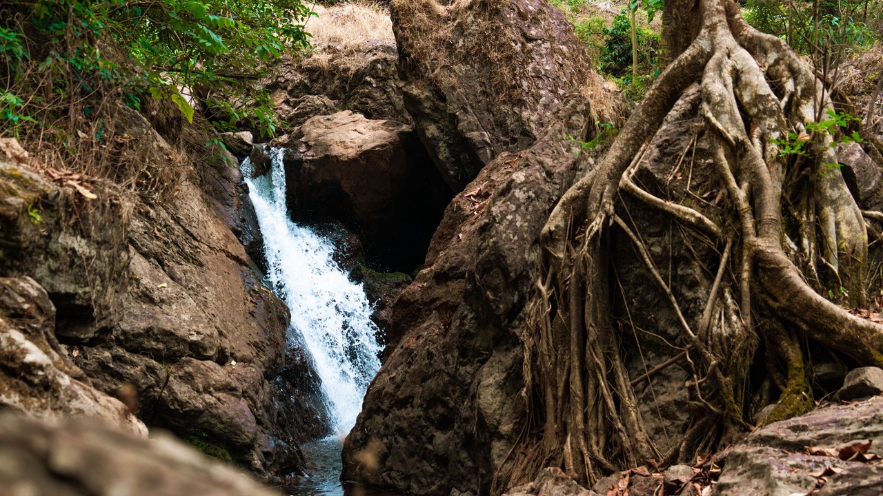 Photo of Outdoor in Chikkamagaluru