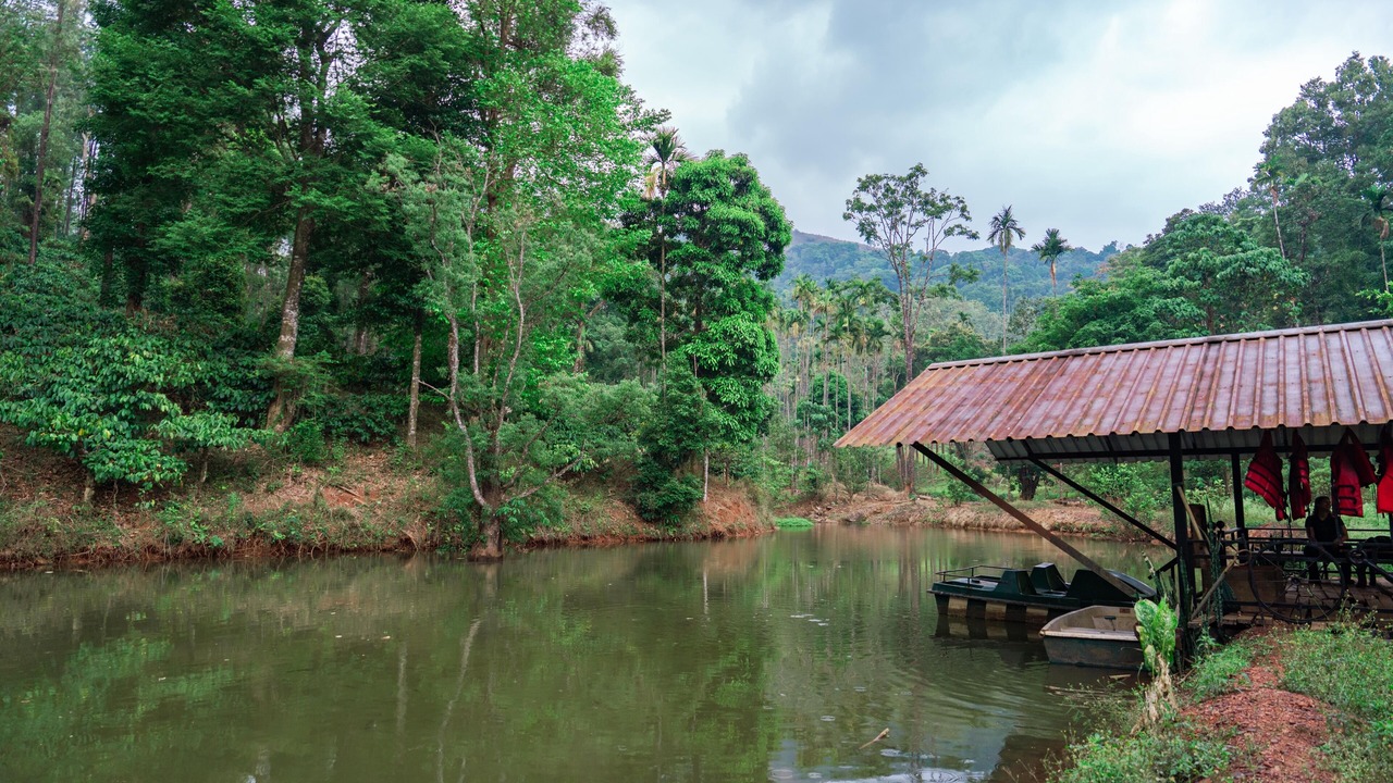 Photo of Outdoor in Chikkamagaluru