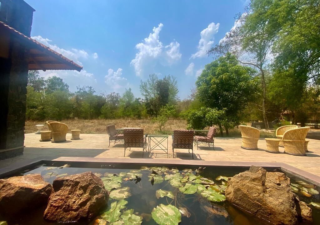Photo of Outdoor in Umaria