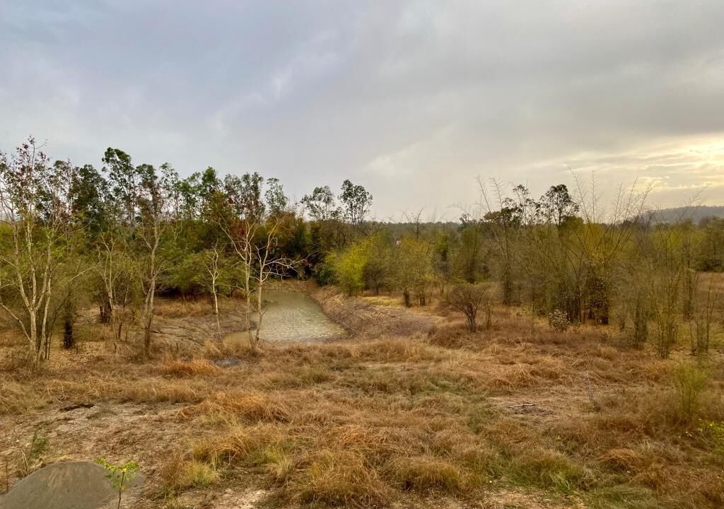 Photo of Outdoor in Umaria