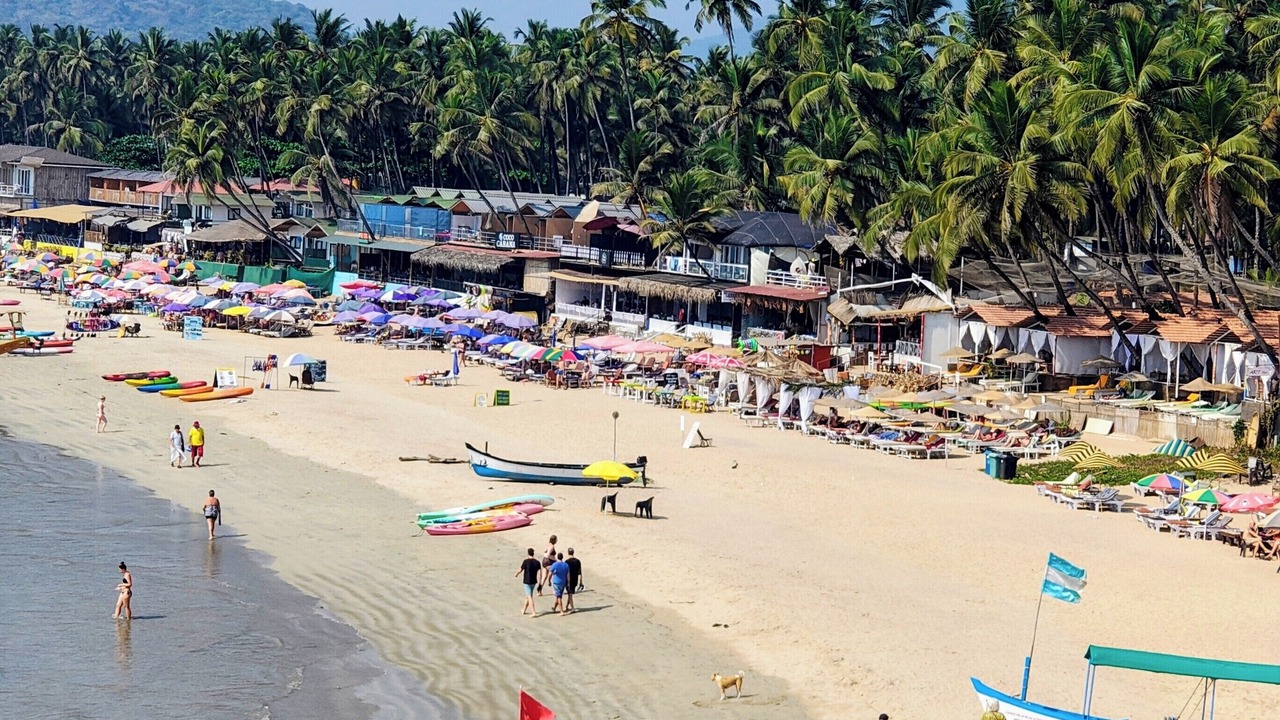 Photo of Others in Palolem