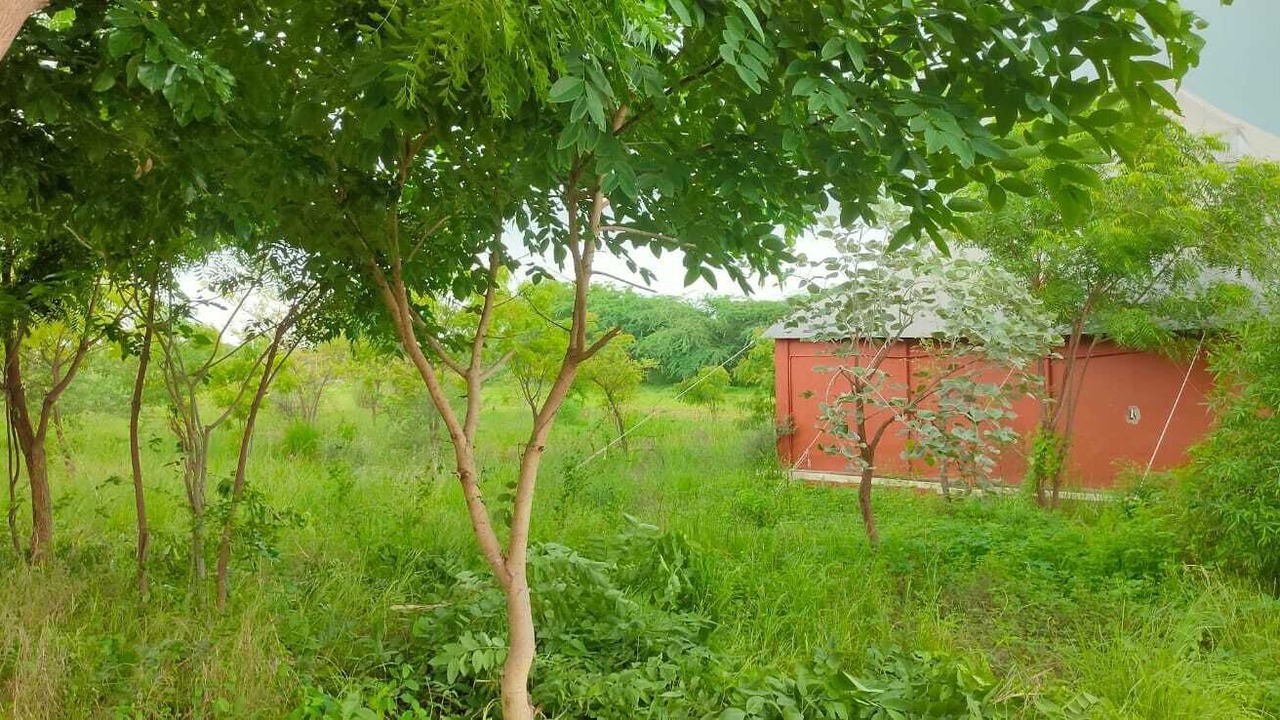 Photo of Outdoor in Bali