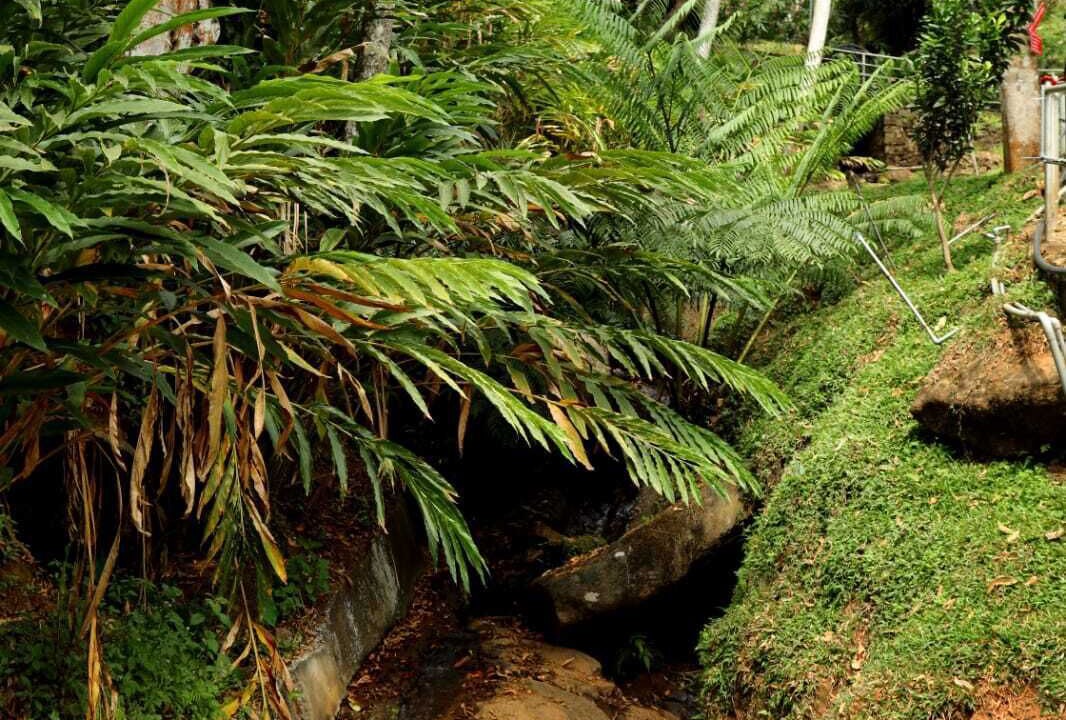 Photo of Outdoor in Nullatanni