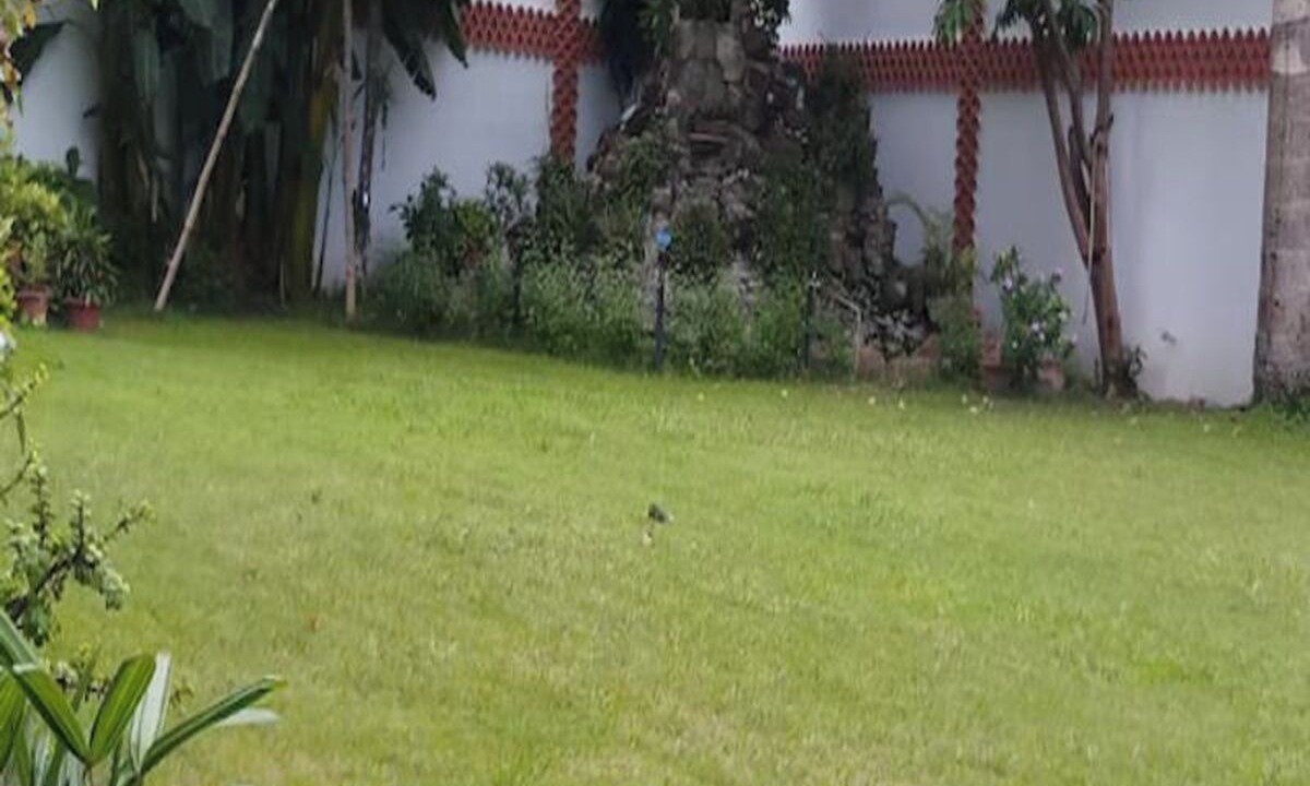 Photo of Outdoor in Civil Lines