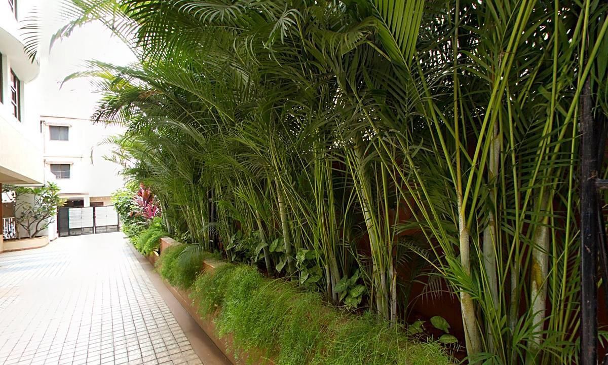 Photo of Outdoor in S R Layout