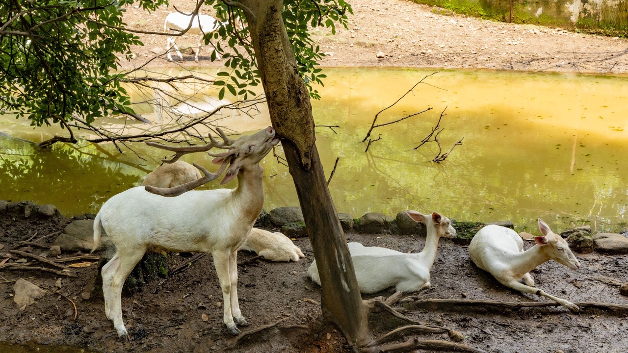 Photo of Others in Navi Mumbai