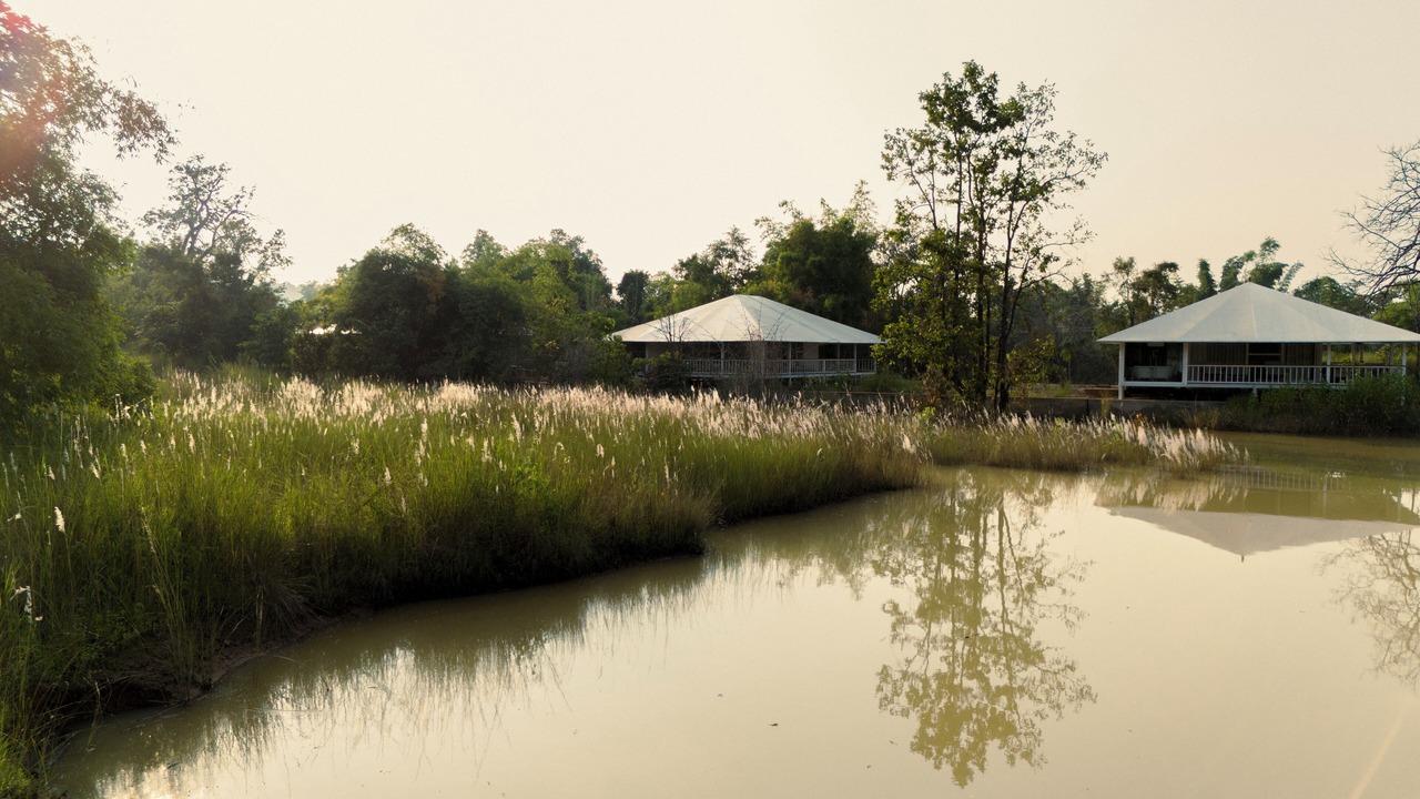 Photo of Outdoor in Umaria