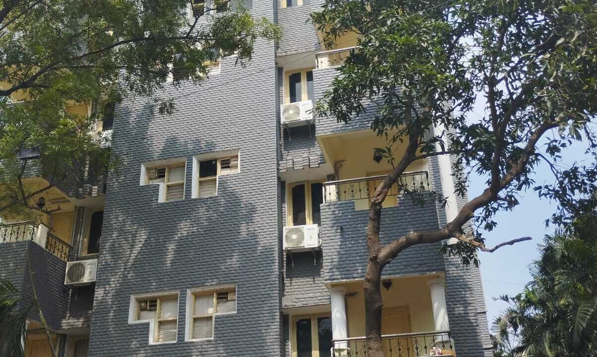Photo of Outdoor in Parthasarathy Puram