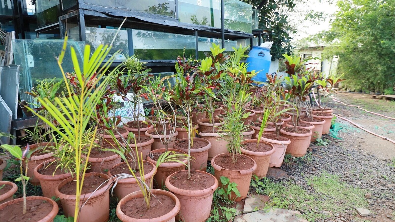 Photo of Outdoor in Karjat