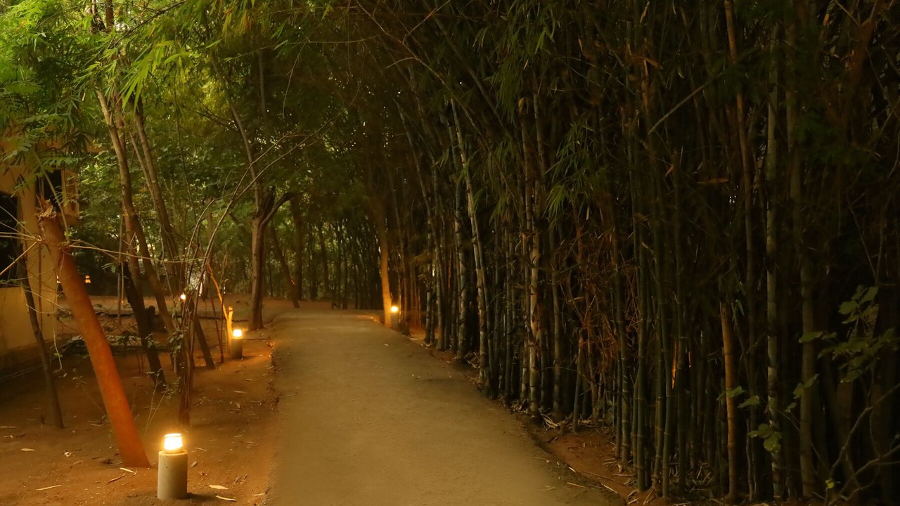 Photo of Outdoor in Panna