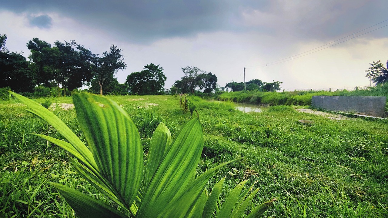Photo of Outdoor in Ilam Bazar