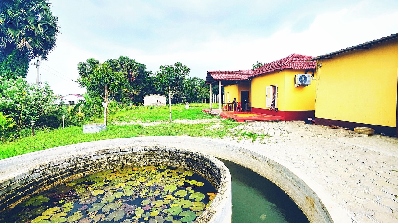 Photo of Outdoor in Ilam Bazar