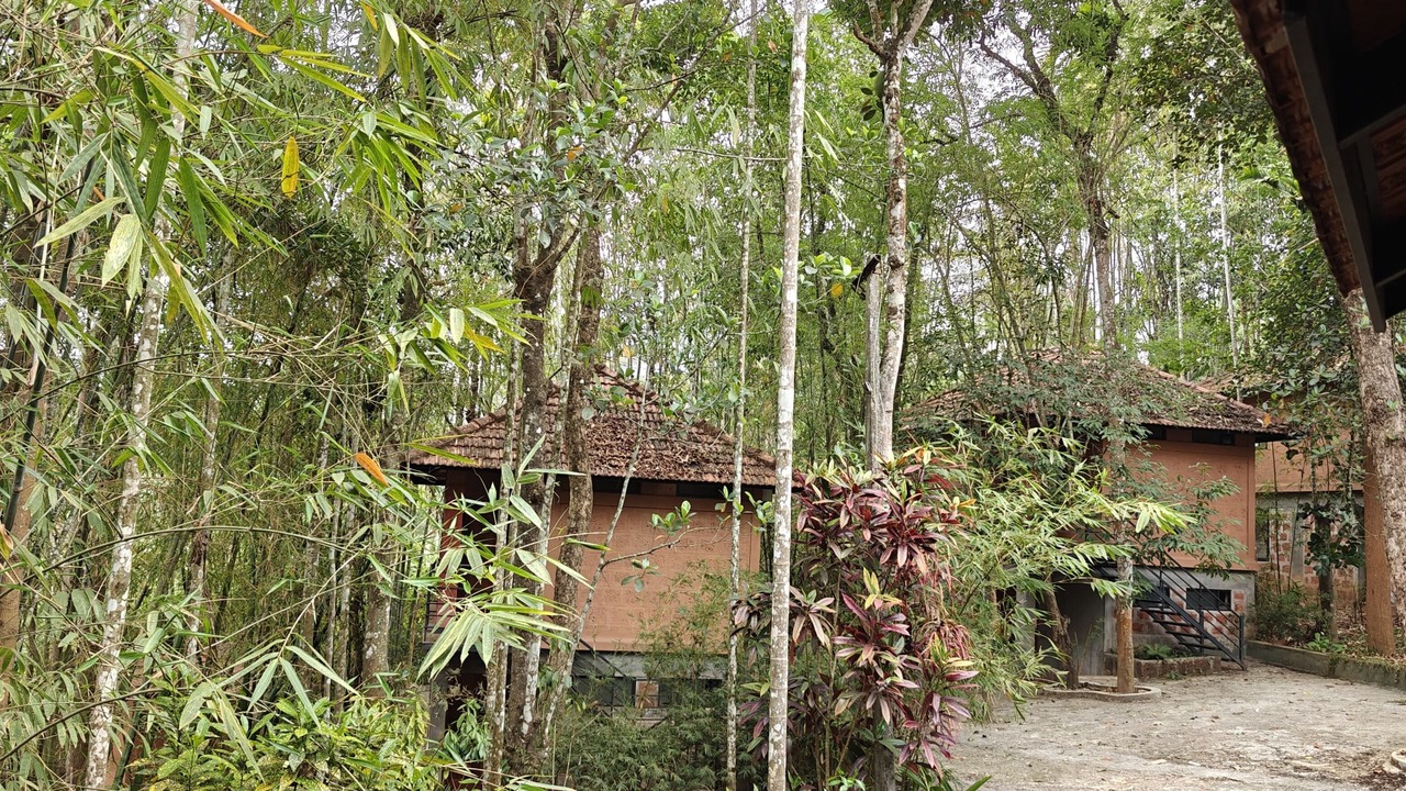 Photo of Outdoor in Sulthan Bathery