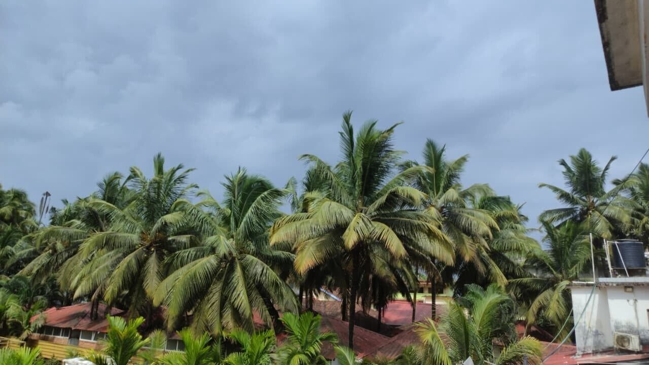 Photo of Outdoor in Morjim