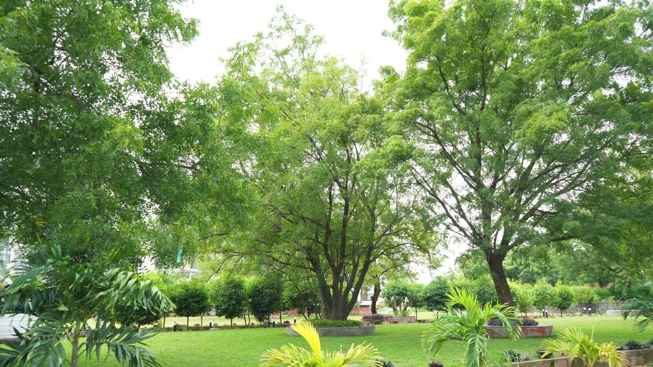 Photo of Outdoor in Chevella