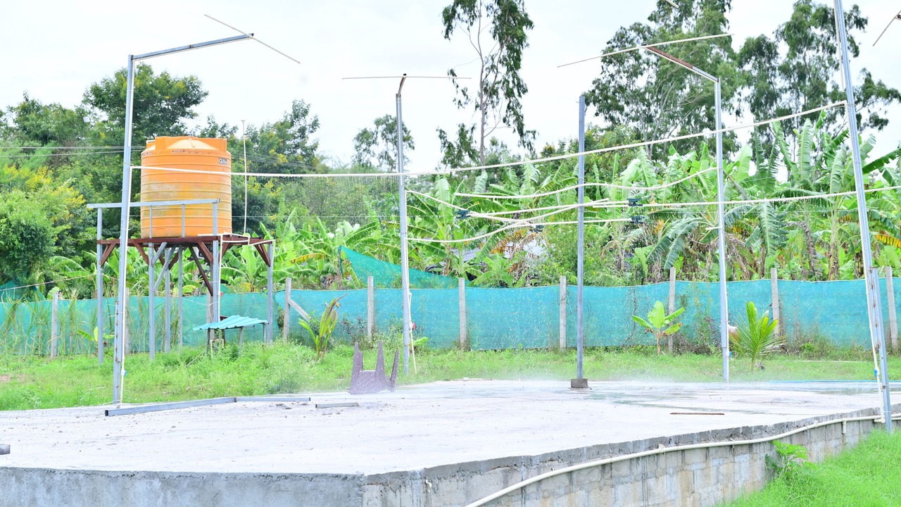 Photo of Others in Piriyapatna