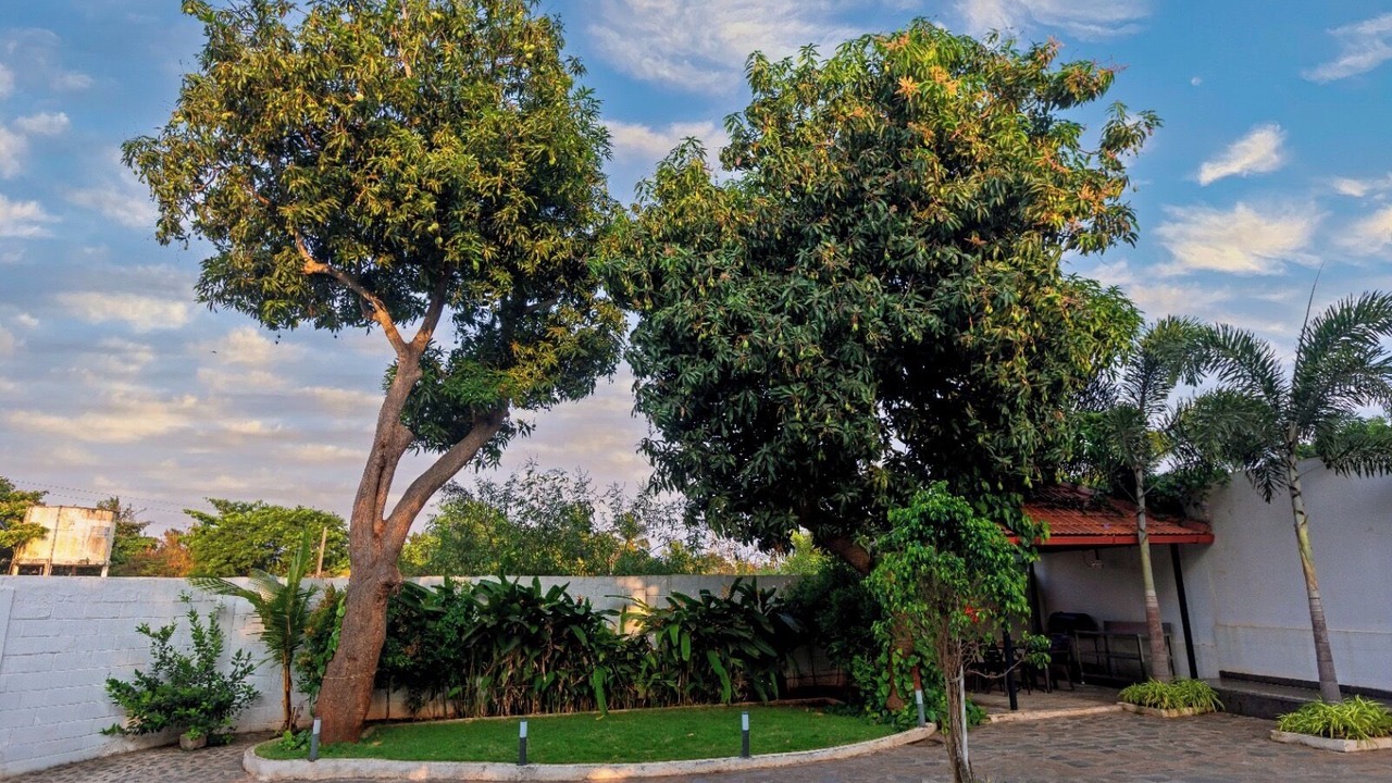 Photo of Outdoor in Kuilapalayam