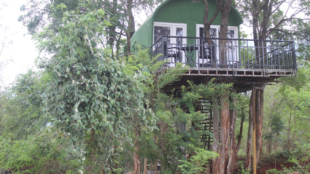 Photo of Outdoor in Tenkasi