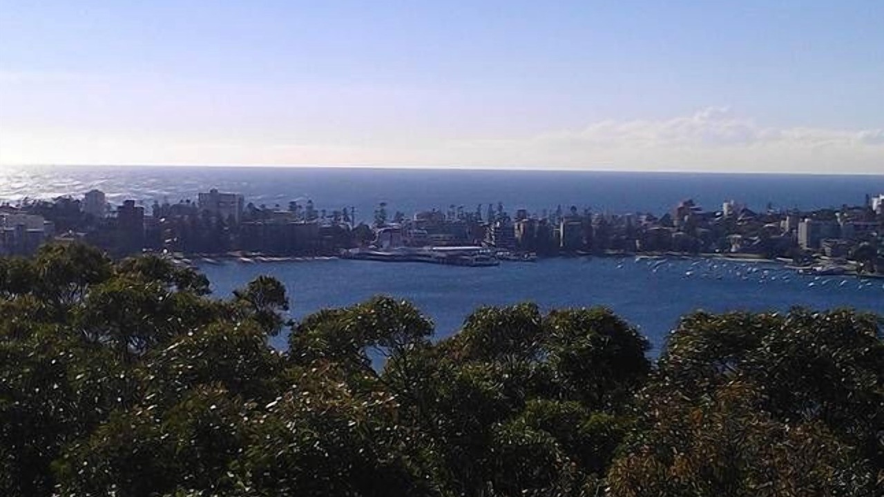 Photo of Others in Balgowlah Heights