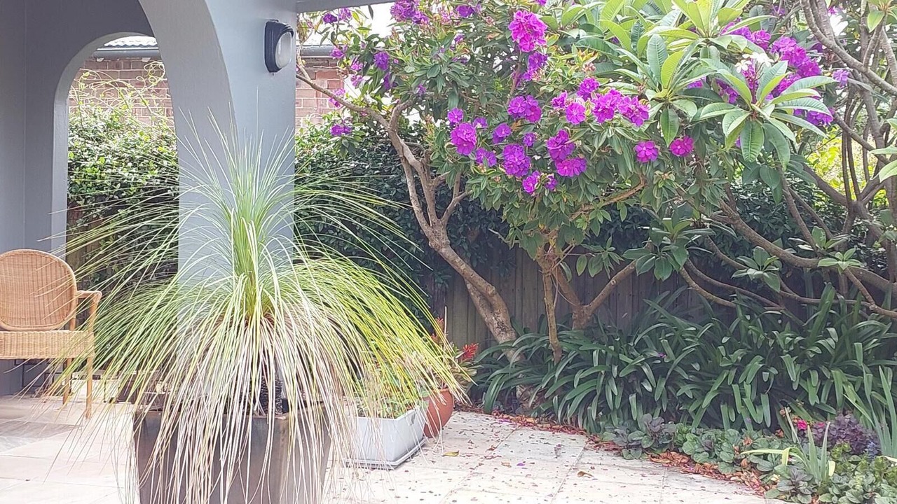 Photo of Patio Balcony in Randwick