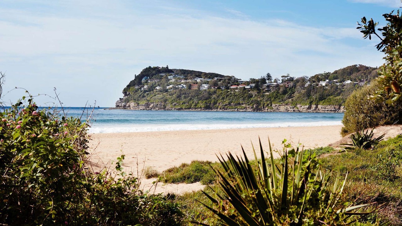 Photo of Others in Whale Beach