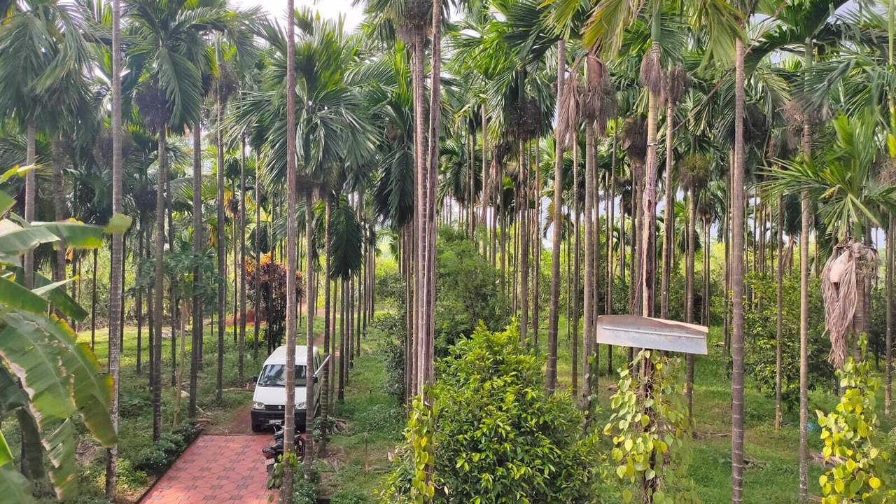 Photo of Outdoor in Mandarthi