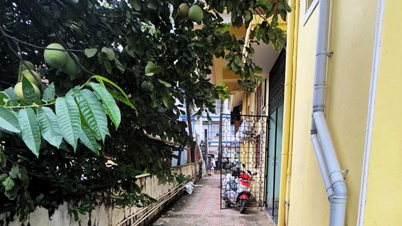 Photo of Outdoor in Benaulim