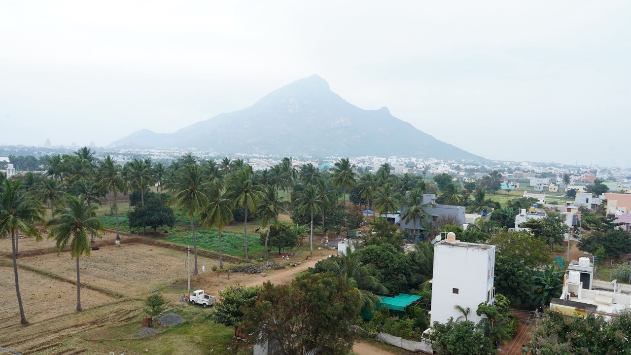 Photo of Outdoor in Tiruvannamalai