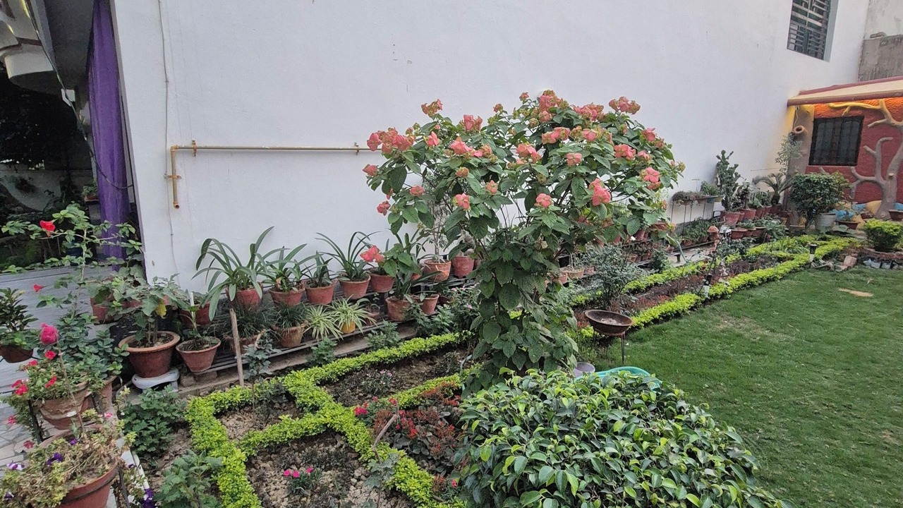 Photo of Outdoor in Varanasi