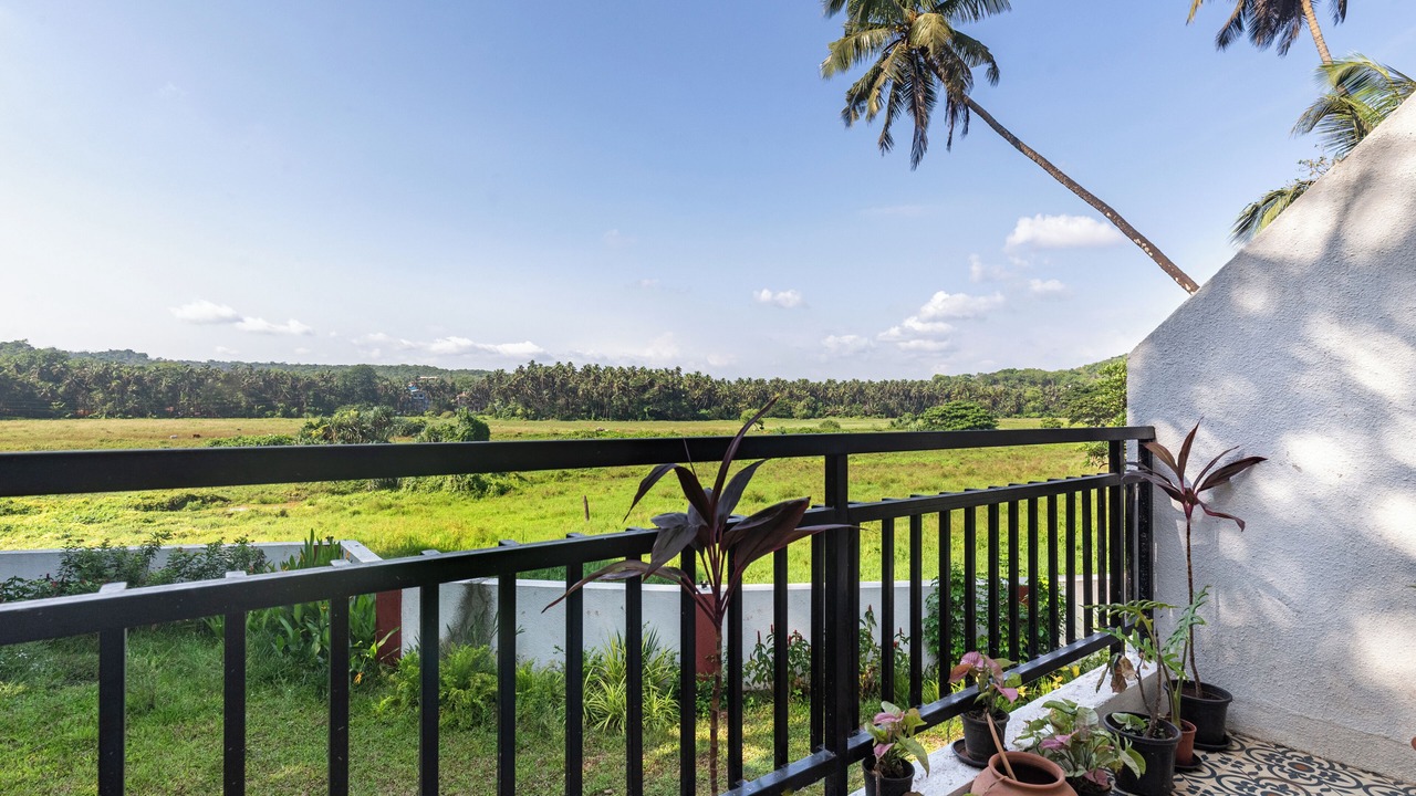 Photo of Outdoor in Siolim