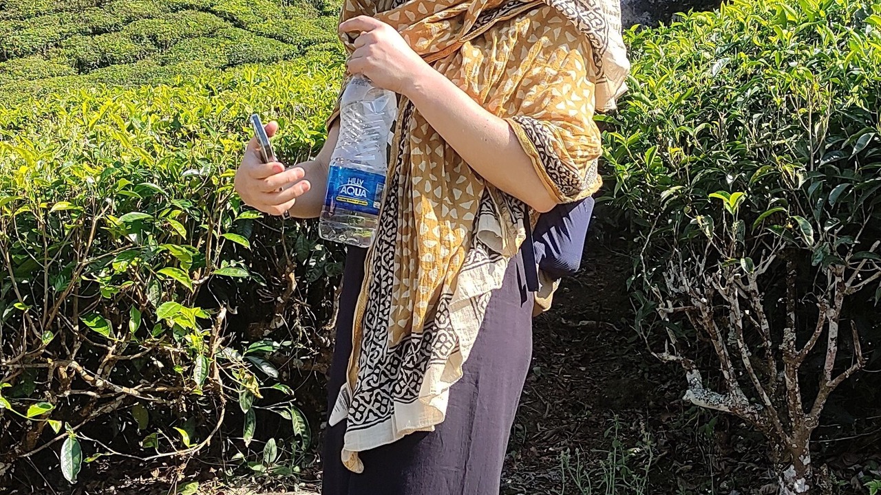 Photo of Others in Devikolam