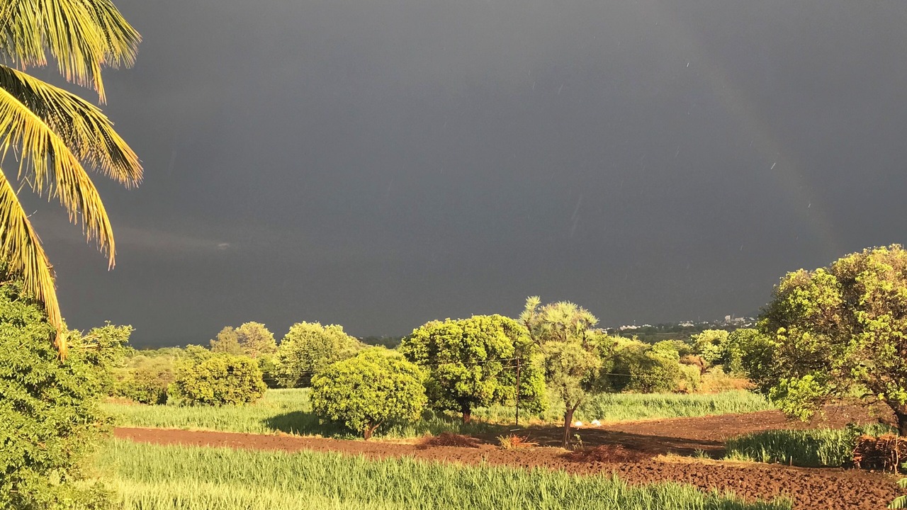 Photo of Others in Satara