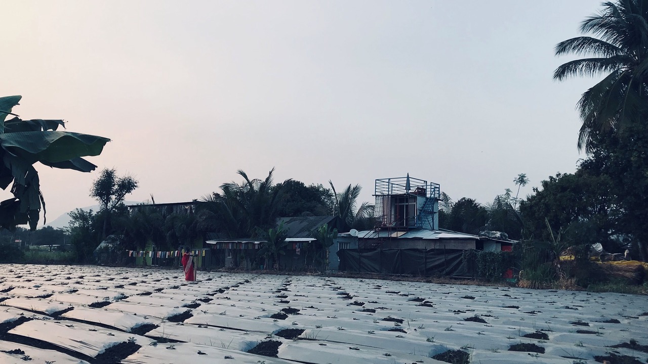 Photo of Others in Satara