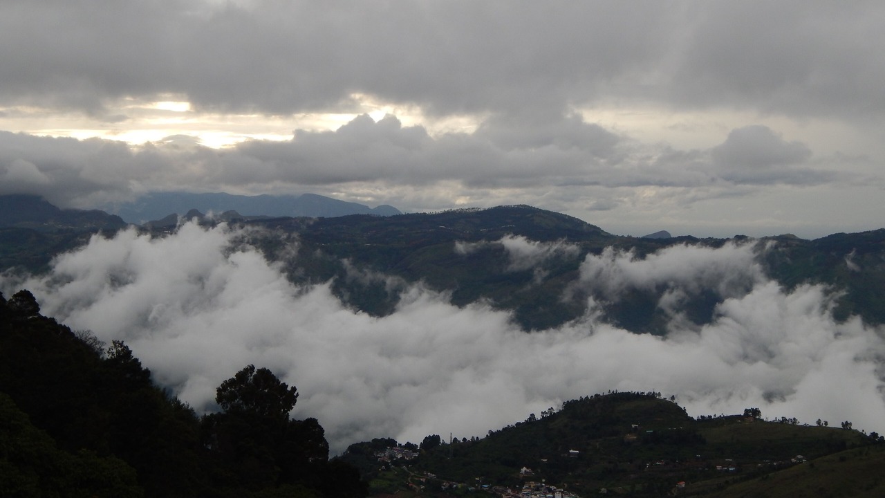 Photo of Others in Kodaikanal