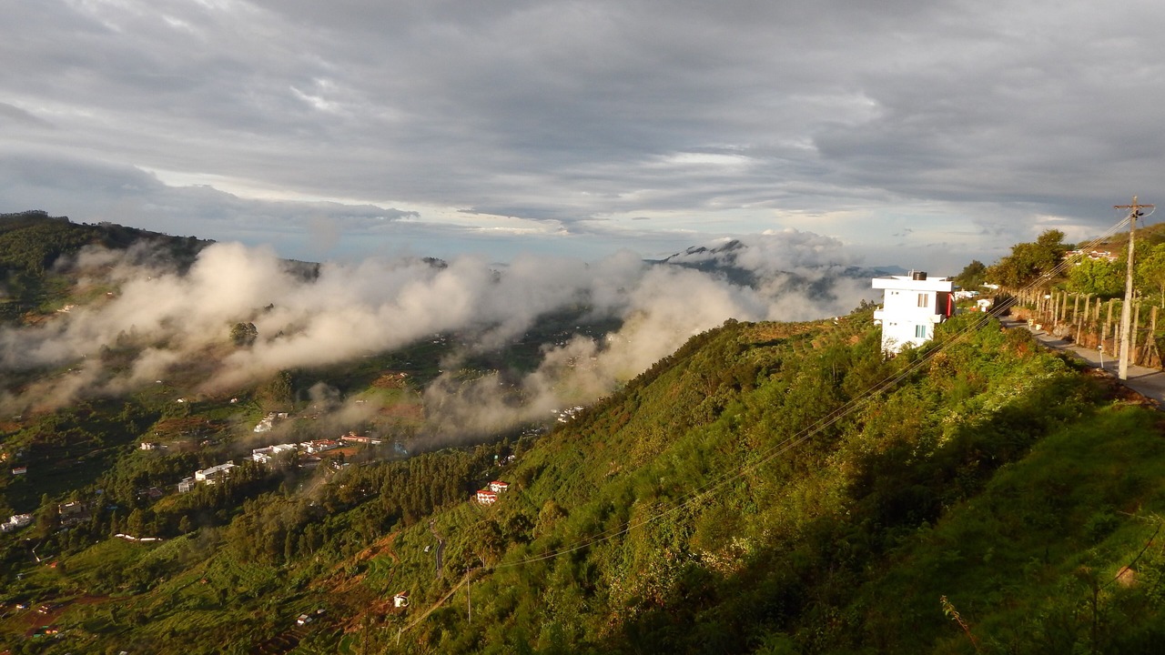 Photo of Others in Kodaikanal