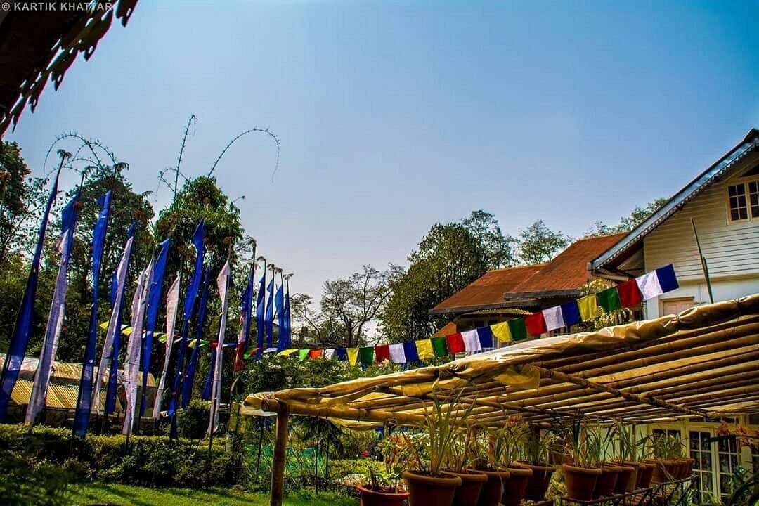 Photo of Others in Sungava