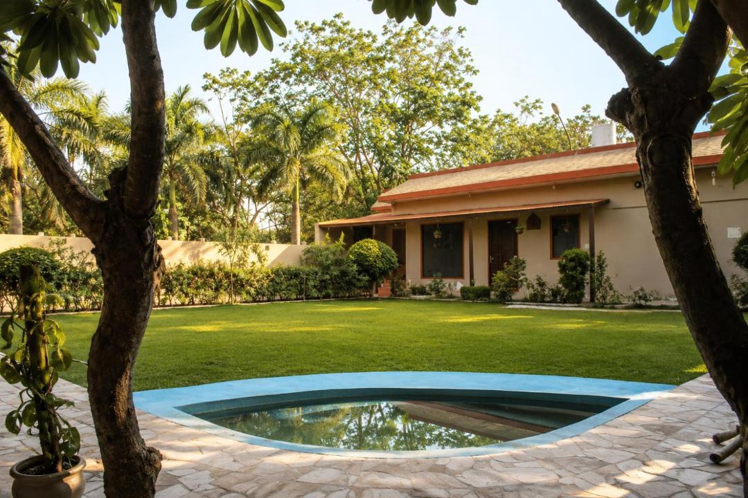 Photo of Others in Greater Noida