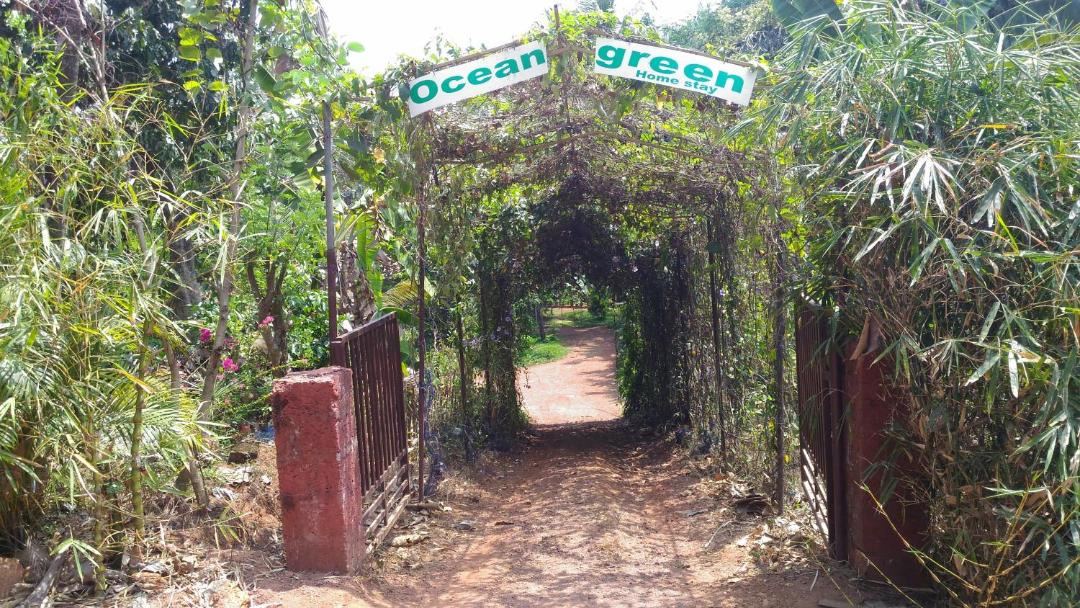 Photo of Others in Kannur