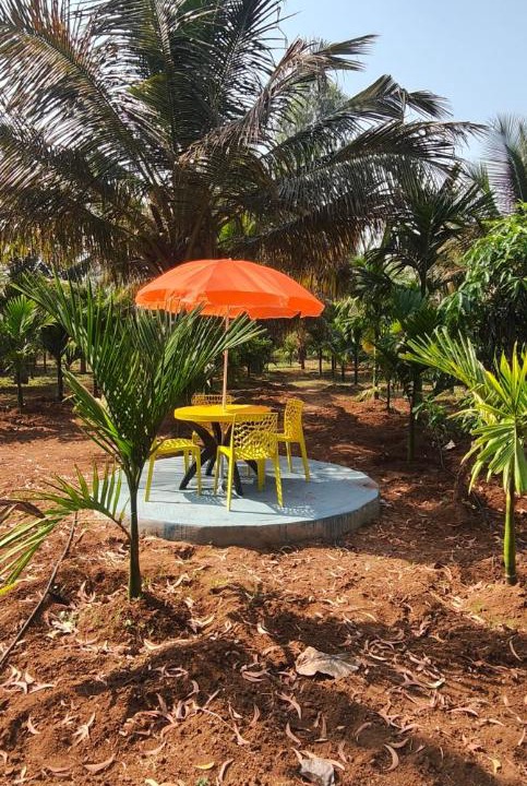 Photo of Outdoor in Kanakapura